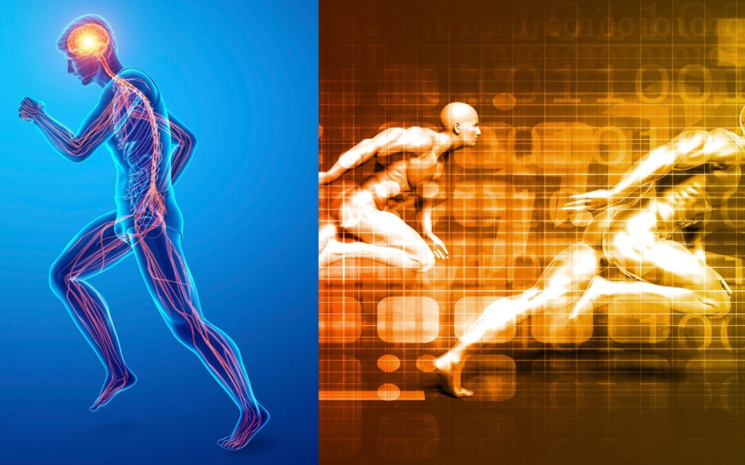 039 The Nervous System and Athletic Performance: Enhancing Neuromuscular Coordination